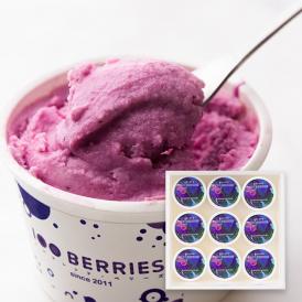 100BERRIES／ブルーベリージェラート9個