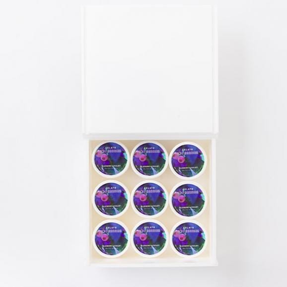 100BERRIES／ブルーベリージェラート9個03