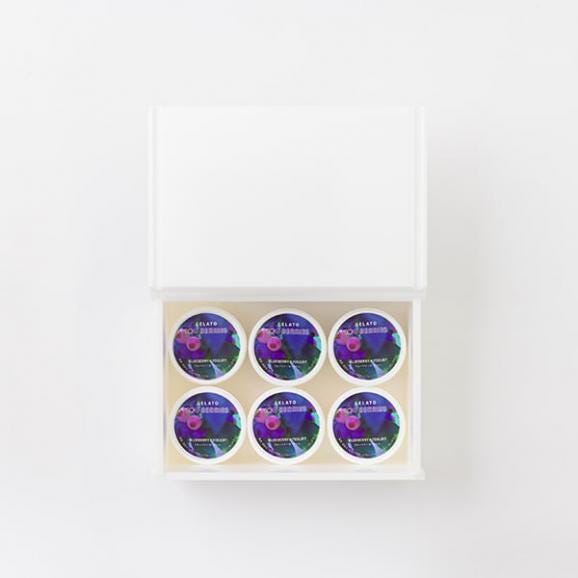 100BERRIES／ブルーベリージェラート6個03