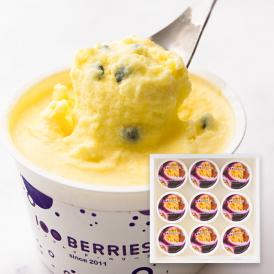 100BERRIES／パッションフルーツジェラート9個