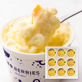 100BERRIES／レモンジェラート9個
