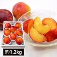 予約受付中：9月上旬頃より発送予定|厳選すもも秋姫約1.2kg(8玉前後)