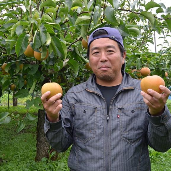 2025年7月頃～予約開始予定|山形の和梨 豊水(ほうすい)約2kg(5玉前後)06