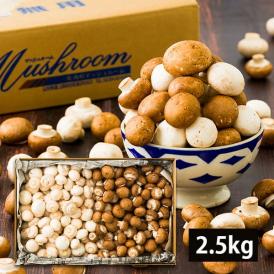 旨みたっぷり。人気商品の《訳あり》舟形マッシュルームに大容量タイプが登場です！