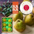 2025年9月頃?予約開始予定|特秀洋梨ラフランス約2kg(5～9玉)[山形セレクション][GI登録]