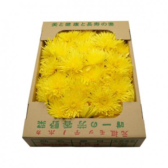 山形の食用菊約1kg(黄色)02
