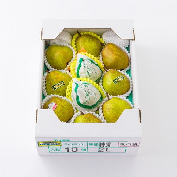 2025年9月頃～予約開始予定|芳醇洋梨ラ・フランス約3kg(2L10玉)03