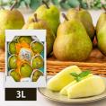 2025年9月頃～予約開始予定|芳醇洋梨ラ・フランス約3kg(3L9玉)