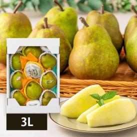 2025年9月頃～予約開始予定|芳醇洋梨ラ・フランス約3kg(3L9玉)