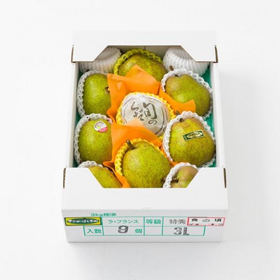 2025年9月頃～予約開始予定|芳醇洋梨ラ・フランス約3kg(3L9玉)04