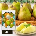 2025年9月頃～予約開始予定|芳醇洋梨ラ・フランス約3kg(4L8玉)