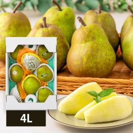 2025年9月頃～予約開始予定|芳醇洋梨ラ・フランス約3kg(4L8玉)