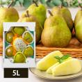 2025年9月頃～予約開始予定|芳醇洋梨 大玉ラ・フランス約3kg(5L7玉)