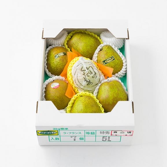 2025年9月頃～予約開始予定|芳醇洋梨 大玉ラ・フランス約3kg(5L7玉)04