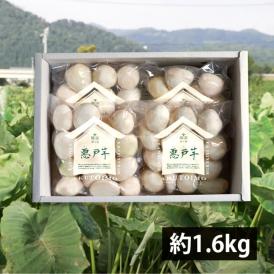 開沼清十郎の洗い里芋 悪戸芋（あくといも）約1.6kg(400g×4袋)