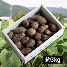 開沼清十郎の皮付き里芋 悪戸芋（あくといも）約3kg