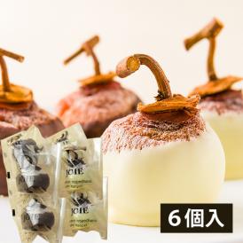 【スペシャルプライス！600円OFF】紅柿ショコラ(6個)[簡易包装]