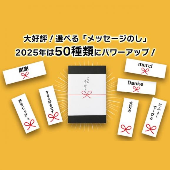 【スペシャルプライス！600OFF】紅柿ショコラ(6個入)[ギフトボックス入]02