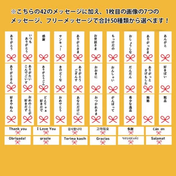 【スペシャルプライス！600OFF】紅柿ショコラ(6個入)[ギフトボックス入]03