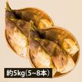 2026年2月頃～予約開始予定|山形の朝堀りたけのこ(谷定孟宗)約5kg