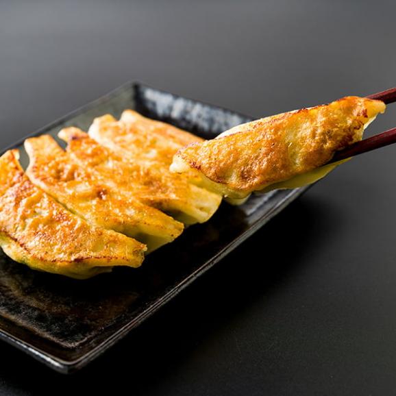 レンジで簡単！ひろしの職人焼き餃子(特製餃子・もちチーズ餃子・えび餃子)02