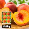 予約受付中：8月下旬頃より発送予定|森谷果樹園の黄桃 紅黄金桃約2kg(5〜7玉)