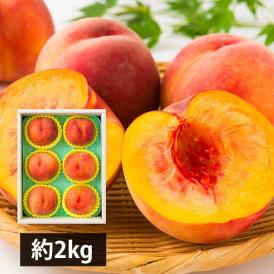 予約受付中：8月下旬頃より発送予定|森谷果樹園の黄桃 紅黄金桃約2kg(5〜7玉)