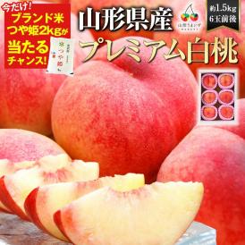 予約受付中：8月下旬頃より発送予定|【山形のブランド米つや姫2kgが当たるチャンス！39人に1人の確率で当選！】 プレミアム 白桃 約 1.5kg ( 6玉前後 ) 