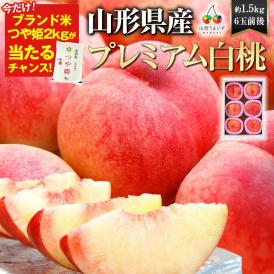【39人に1人 つや姫が当たる！】プレミアム白桃 旬の品種 約1.5kg(6玉前後)