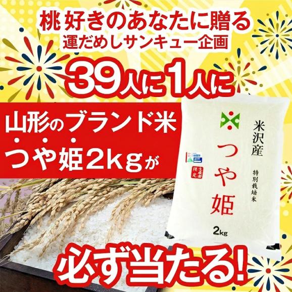 予約受付中：8月下旬頃より発送予定|【山形のブランド米つや姫2kgが当たるチャンス！39人に1人の確率で当選！】 プレミアム 白桃 約 1.5kg ( 6玉前後 ) 02