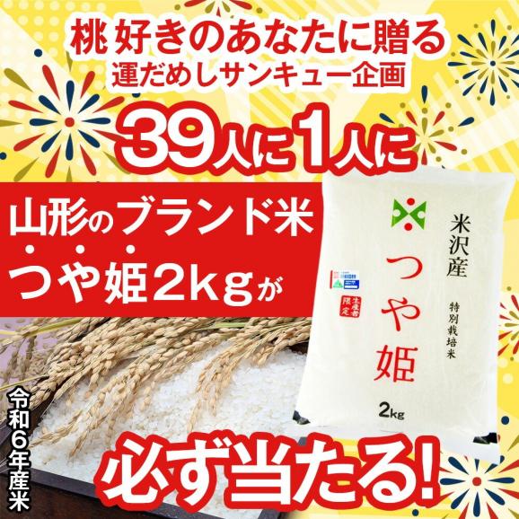 【39人に1人 つや姫が当たる！】プレミアム白桃 旬の品種 約1.5kg(6玉前後)02