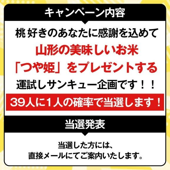 【39人に1人 つや姫が当たる！】プレミアム白桃 旬の品種 約1.5kg(6玉前後)05