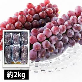 里見果樹園のぶどうキングデラ約2kg(5～10房)