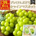 【39人に1人！39円!! 9月中旬~12 月中旬発送】プレミアム ぶどう シャインマスカット2房 (1房450g 以上) 山形産