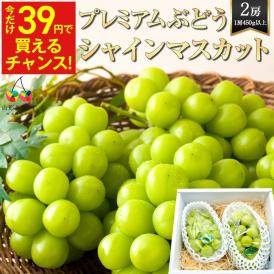 【39人に1人！39円!! 9月中旬~12 月中旬発送】プレミアム ぶどう シャインマスカット2房 (1房450g 以上) 山形産