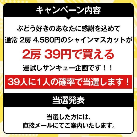 【39人に1人！39円!! 9月中旬~12 月中旬発送】プレミアム ぶどう シャインマスカット2房 (1房450g 以上) 山形産04