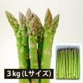 銀山アスパラガス3kg(Lサイズ)＜夏出荷＞