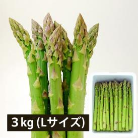銀山アスパラガス3kg(Lサイズ)＜夏出荷＞