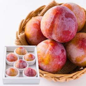 予約受付中：9月中旬頃より発送予定|プレミアムすもも秋姫約1.2kg(6〜9玉前後)