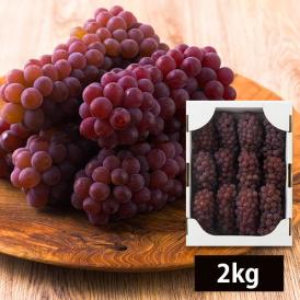 山道農園のぶどう甘美デラウェア2kg(12～16房前後)