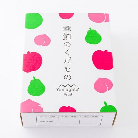 予約受付中：9月下旬頃より発送予定|秋の贅沢フルーツセレクション(シャインマスカット、ピオーネ、洋梨）06