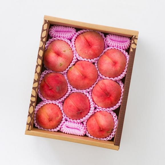 【500円OFF】《訳あり》山形の白桃 約3kg 旬の品種(7～13玉)04