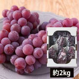 山道農園のぶどう甘美レッドナイアガラ約2kg(7房前後)