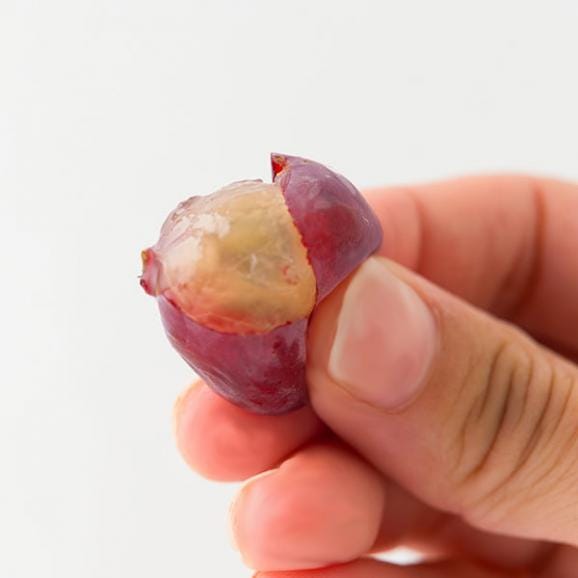 山道農園のぶどう甘美レッドナイアガラ約2kg(7房前後)04