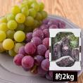 山道農園のぶどう甘美ナイアガラのセット約2kg(7房前後)