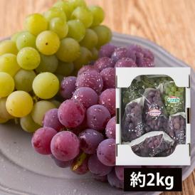 山道農園のぶどう甘美ナイアガラのセット約2kg(7房前後)