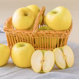 プレミアム青りんご シナノゴールド約3kg(7～12玉)