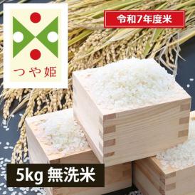 《うまいず米》山形県産つや姫5kg無洗米＜令和7年度産＞