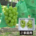 《ご家庭用》シャインマスカット約1.2kg(2房)