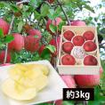 予約受付中：11月下旬頃より発送予定|《旬果》プレミアムふじりんご約3kg(8玉)[桐箱入]